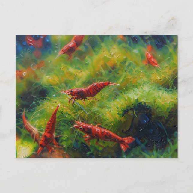 Rote Kirschen-Garnelen mit Fadenalgen Postkarte (Vorderseite)