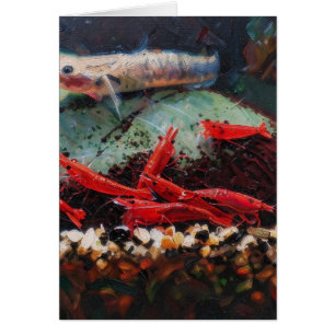 Rote Kirschen-Garnelen und Stiphodon Postkarte