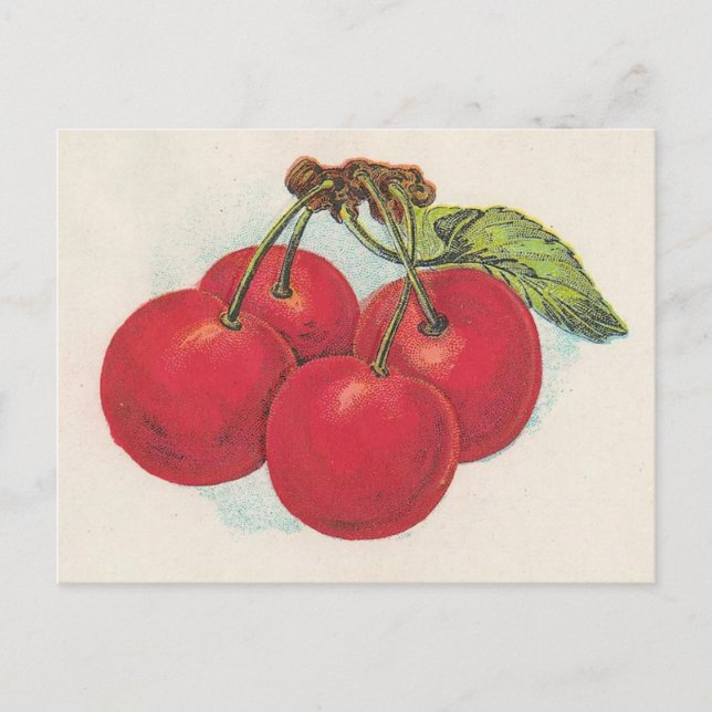 Rote Kirschen Postkarte (Vorderseite)