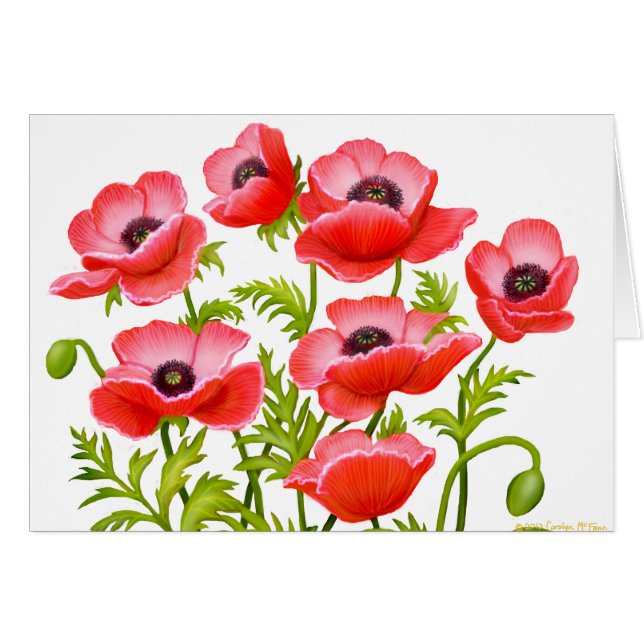 Rote Klatschmohn-Karte (Vorderseite (Horizontal))