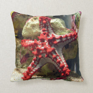Rote Knobbed Starfish - unglaublicher Schuss Kissen