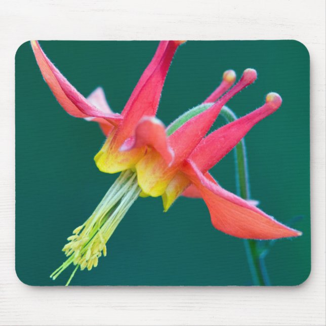 Rote Kolumne Mousepad (Vorne)