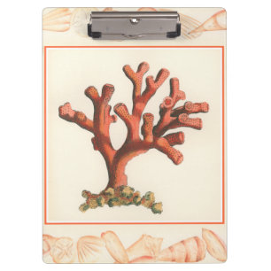 Rote Koralle mit Tritonshorn-Muschel-Grenze Klemmbrett