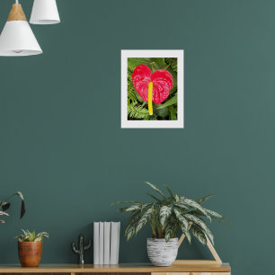 Rote Laceleaf-Blume Florale Fotografie Poster