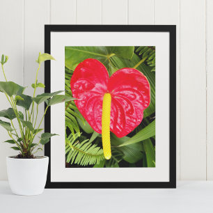 Rote Laceleaf Blume Floralfotografie Poster