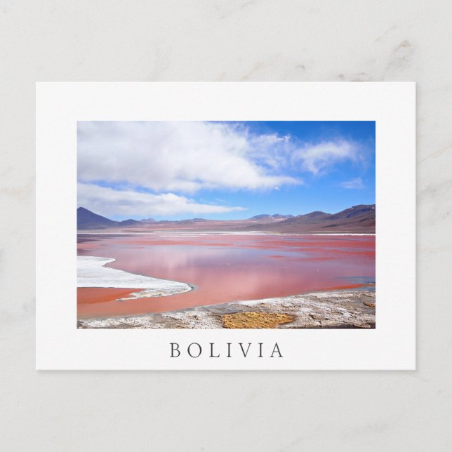 Rote Lagune, Laguna Colorada Bolivien weiße Postka Postkarte (Vorderseite)