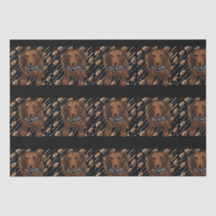 Rote Langhaar-Doxie    Seidenpapier