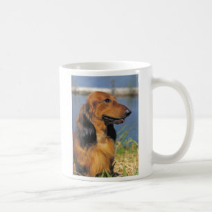 rote langhaarige Dackel-Tasse Tasse