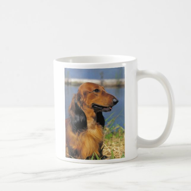 rote langhaarige Dackel-Tasse Tasse (Rechts)
