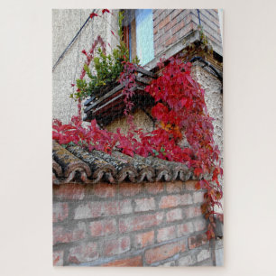 Rote laufende Pflanze und das Fenster Puzzle