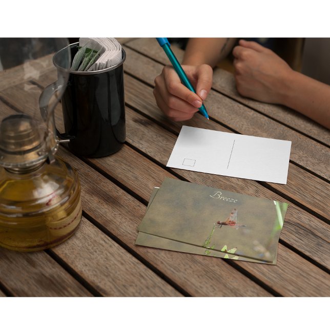 Rote Libelle auf einem Strohhalm Postkarte (Von Creator hochgeladen)