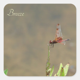 Rote Libelle auf einem Strohhalm Quadratischer Aufkleber