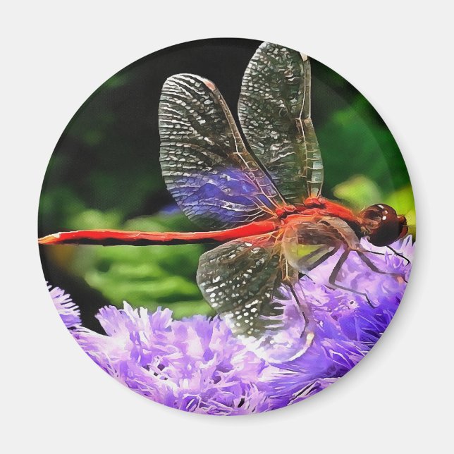 Rote Libelle auf Violet Purple Blumen Magnet (Vorne)