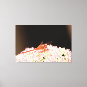 Rote Libelle Leinwanddruck