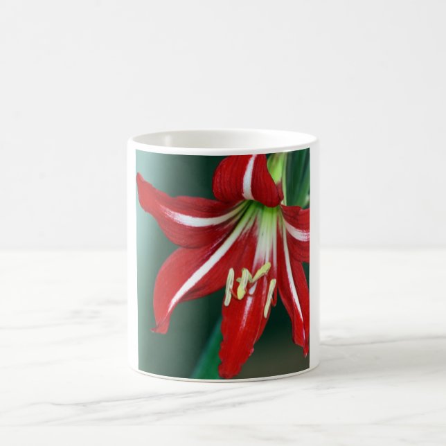 Rote Lilie Kaffeetasse (Mittel)
