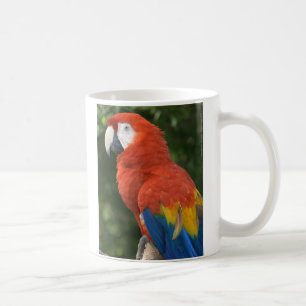 Rote Macaw-Tasse Kaffeetasse