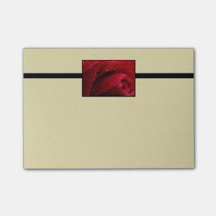 Rote Macro-Rose mit Wassertropfen Post-it Klebezettel