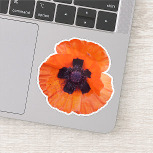 Rote Mohn-Foto Aufkleber