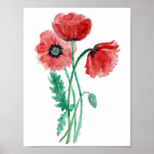 Rote Mohn in Aquarellfarben