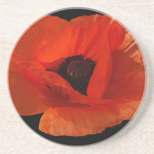 Rote Mohn-Makro Untersetzer