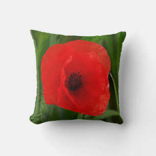 Rote Mohnblume Blume Kissen