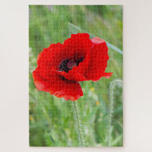 Rote Mohnblume-Blume Puzzle