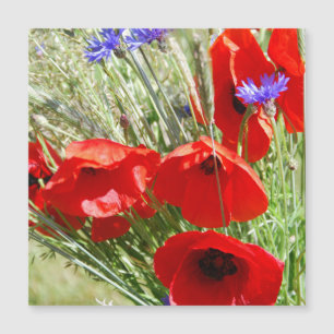 Rote Mohnblume, Cottage-Garten Foto Magnetkarte