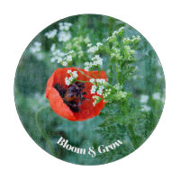 Rote Mohnblume Dekorativer Glas Teller | Floral A