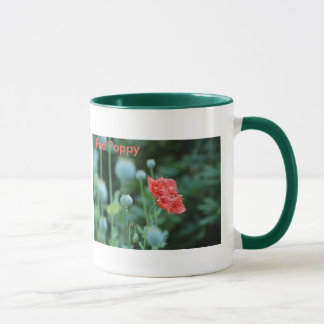 Rote Mohnblume, in Flandern stellt Tasse auf