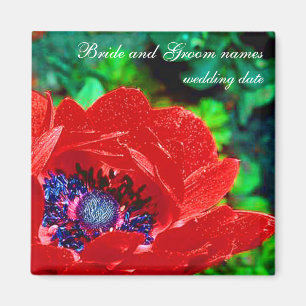 Rote Mohnblume Magnet