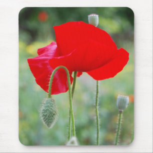 rote Mohnblume Mousepad