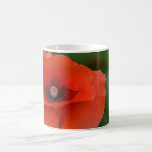Rote Mohnblume Tasse