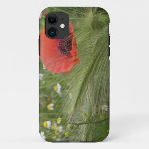 Rote Mohnblume, Toskana, Italien Case-Mate iPhone Hülle
