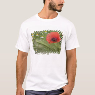 Rote Mohnblume, Toskana, Italien T-Shirt