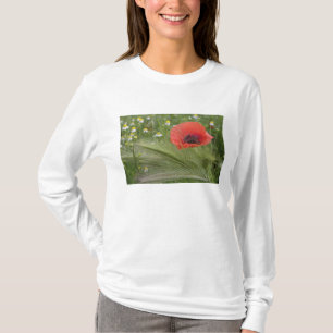 Rote Mohnblume, Toskana, Italien T-Shirt