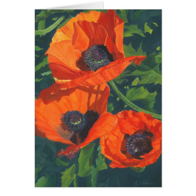 Rote Mohnblumen (Vorne)