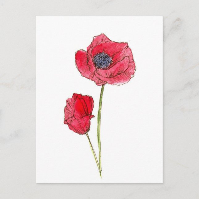 Rote Mohnblumen-Aquarell-Botanik-Kunst Postkarte (Vorderseite)