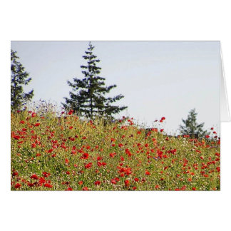 Rote Mohnblumen auf einer Abhangkarte