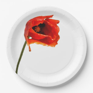 Rote Mohnblumen-Blume Pappteller