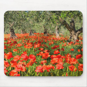 Rote Mohnblumen-Blumen unter alten Olivenbäumen Mousepad