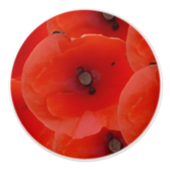 Rote Mohnblumen Design Keramik-Griff Keramikknauf (Vorderseite)