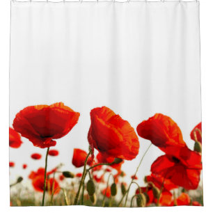 Rote Mohnblumen Duschvorhang