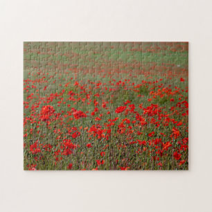 Rote Mohnblumen Herausforderung Puzzle