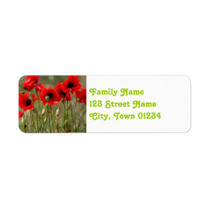 Rote Mohnblumen in Polen