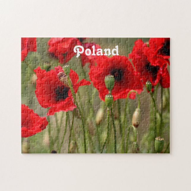 Rote Mohnblumen in Polen Puzzle (Horizontal)