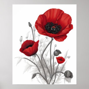 Rote Mohnblumen Poster