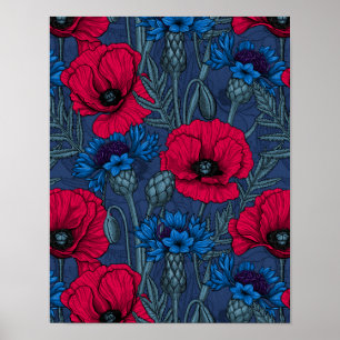 Rote Mohnblumen und blaue Maisblumen auf blau Poster