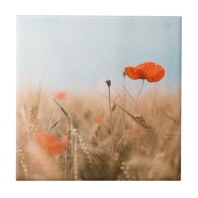 Rote Mohnblumen und Goldgerste Fliese (Vorderseite)