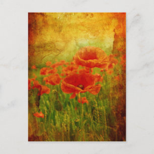 Rote Mohnblumen vintage Postkarte