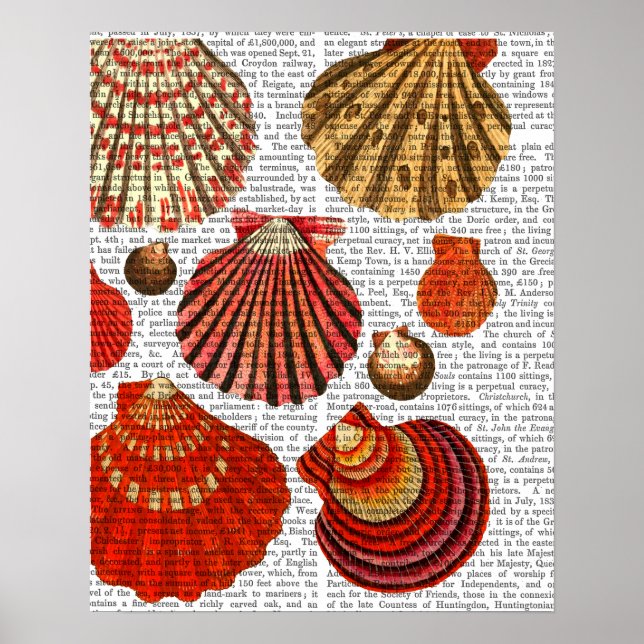 Rote Muscheln Poster (Vorne)